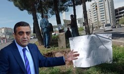 Diyarbakır’da ağaç kesme tartışması büyüyor; Sezgin Tanrıkulu da tepki gösterdi