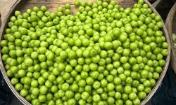 Diyarbakır’da eriğin kilosu şok etti