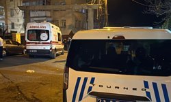 Diyarbakır'da eşini öldürüp kızını ağır yaralamıştı; Tutuklandı