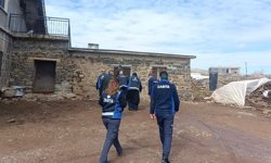 Diyarbakır’da kaçak peynir imalathanesi mühürlendi