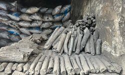 Diyarbakır’da Meşe kömürünün sırrı: Şifa diye yiyen var