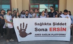 Diyarbakır’da sağlıkta şiddet protesto edildi