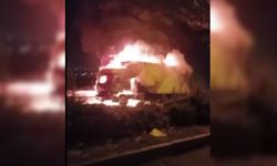 Diyarbakır’da seyir halindeki tır alev topuna döndü