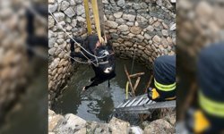 Diyarbakır’da su kuyusuna düşen ineği itfaiye kurtardı