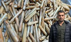 Diyarbakır’dan, Ege’nin derinliklerine