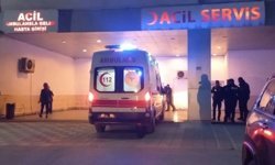 Erzurum'da erkek şiddeti