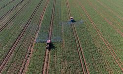 Barak Ovası’nda çiftçilerin mesaisi