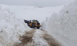Hakkari'de 46 yerleşim yolu ulaşıma kapandı