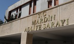 İki kardeşe, cinayetten müebbet hapis istemi