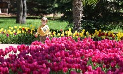 İlkbaharın cennet bahçesi