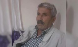 İneğin peşinden gitti, canından oldu