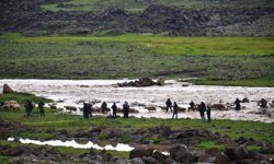 Çoban ve koyun sürüsü derede mahsur kaldı