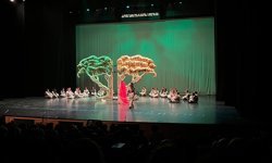 Amed Film Festivali’nde "Moraşîn" rüzgarı!