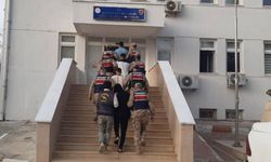 Şanlıurfa'da göçmen kaçakçılığı operasyonu