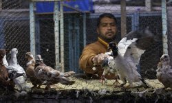 Şanlıurfa'da "Kuş Mezadı"ndan renkli görüntüler