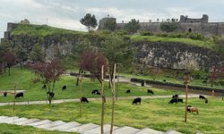 Diyarbakır Saraykapı’da şaşkınlık yaratan anlar