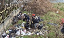 Tatil beldesi Hazar Gölü sahilinde 10 ton çöp toplandı