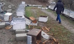 Tunceli'de ayı, 20 kovanı parçaladı