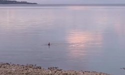 Van Gölü'nde donma tehlikesi