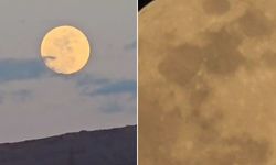 Van'da "Pembe Dolunay"