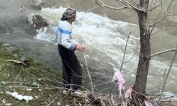 Hakkari’de suya kapılan 8 yaşındaki Velat’a ulaşılamıyor