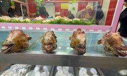 Diyarbakır’da iğneli mizah: Pişmiş kelle gibi ne gülisen?