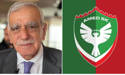 Cumhurbaşkanı Başdanışmanı Saral'dan Ahmet Türk'e Amedspor tepkisi