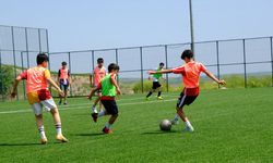 Amedspor yıldızlarını aramaya devam ediyor