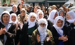 Barış Anneleri, Öcalan ile görüşmek için başvuracak
