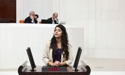 Beritan Güneş: Dillerin ve kültürlerin kardeşliğini beraber örelim