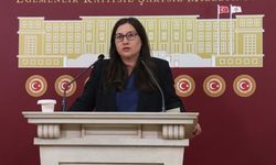 DEM Parti Milletvekili Çubuk: Öğrencilerin kapısında plakasız araçlarla bekleyenler kim?