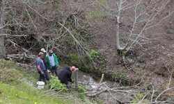 Diyarbakır'da 10 bin yabani ceviz ağacı aşıyla verimli hale getiriliyor