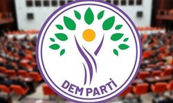 DEM Parti: Mutlak butlan, süreci gölgelemeye dönük bir adım