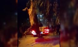 Dereye düşen kurbanlık dana vinçle kurtarıldı