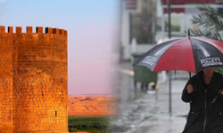 Kurban Bayramını Diyarbakır'da geçirecekler dikkat! Hava durumuna bakmayı unutmayın