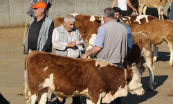 Diyarbakır'da kurban kesim yerleri ve ücreti belli oldu