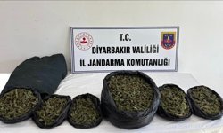 Diyarbakır'da narkotik operasyonu