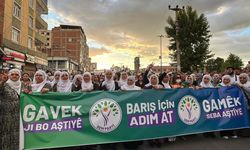 Diyarbakır’da yürüyüş, çok sayıda milletvekili katıldı