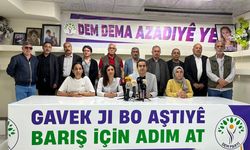 Diyarbakır’da DEM Parti’den yürüyüş çağrısı: Barış için adım at