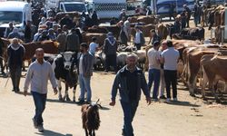 Diyarbakır'da kurbanlık hareketliliği