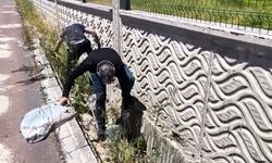 Diyarbakır’da rahatsızlık veren gelişme!