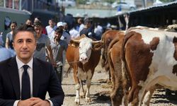 Diyarbakır’dan Kurban keseceklere önemli uyarı!