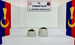 Diyarbakır'da 198 kilo esrar ele geçirildi