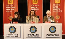 Diyarbakır’da barış paneli: Kürtler Ortadoğu’da örnek olabilir
