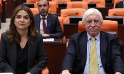 DEM Parti Grup Başkanvekili: Hakikatle yüzleşmek demokratik barışı güçlendirir