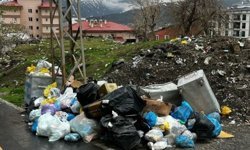 Hakkari kayyımı hakkında suç duyurusu