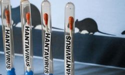 Hantavirüs krizine ilişkin Sağlık Bakanlığından açıklama