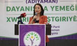 DEM Parti Eş Genel Başkanı Hatimoğulları: Taleplerimiz 86 milyon içindir