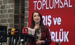 DEM Parti Eşgenel Başkanı Hatimoğulları: Engellerin kalkması için Öcalan'a statü tanınsın