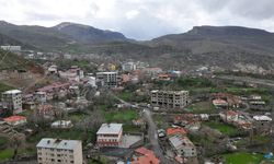 Hakkari’de düğünde taşlı sopalı kavga: 8 yaralı